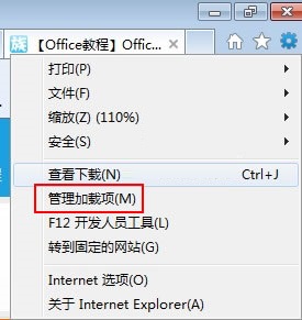 如何查看浏览器加载的哪些项