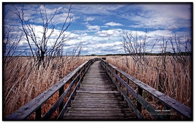 8_hayleyelizabeth_manitoba_boardwalk