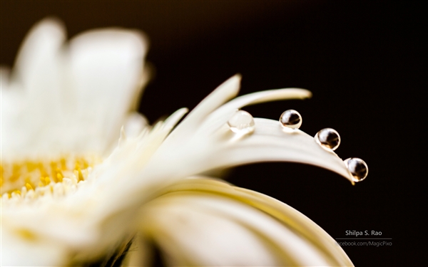 萌萌哒：<a href='http://www.tudoupe.com/xt/' target='_blank'><u><a href='http://www.tudoupe.com/xt/' target='_blank'><u>Win7</u></a></u></a>/Win8官方主题《露珠》