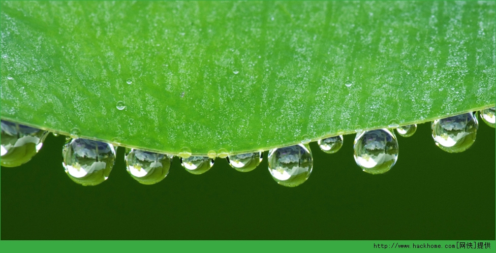 win10微观世界主题包图5: