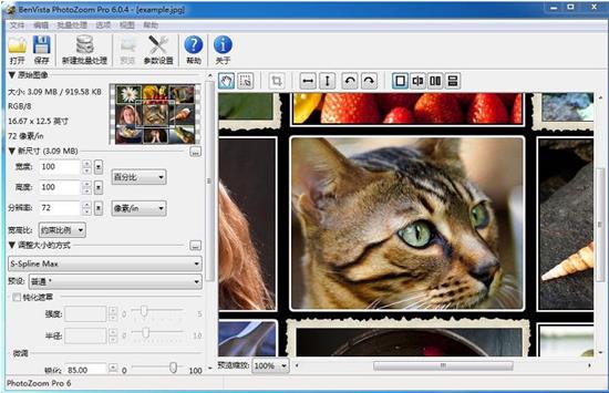 PhotoZoom简体中文破解版下载