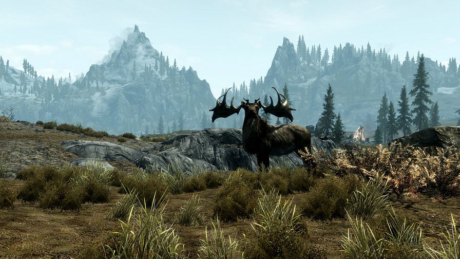 上古卷轴5:天际图片