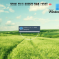 Win11 Build 22000.282 专业版镜像 V2021.11