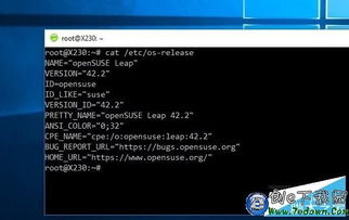 你怎么让Lwessux在Windows 10上班的?