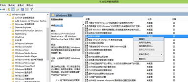 Yumi无法安装Windows 10。