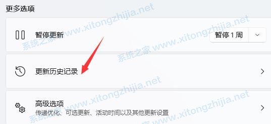 Win11一直闪屏怎么办?Win11屏幕闪屏的解决方法