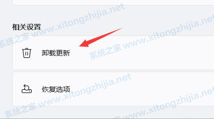Win11一直闪屏怎么办?Win11屏幕闪屏的解决方法