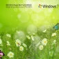 绿茶系统 Ghost Win7 纯净旗舰版 V2021.12