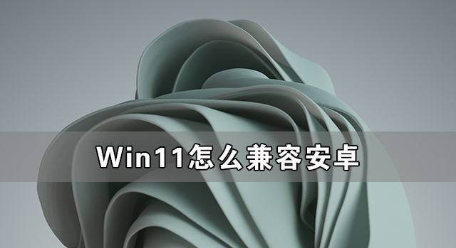 带你详解Win11兼容安卓的原理