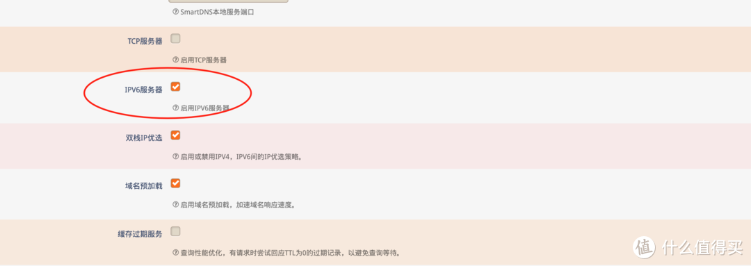 IPV6下，双协议DNS解析服务器如何选择？