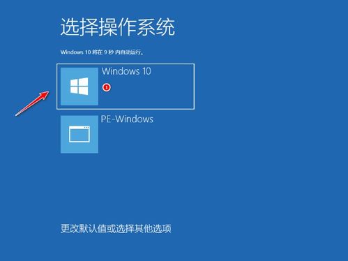 PE下安装正版win10