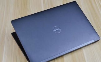 Dale的笔记本电脑是用微软的主操作系统Windows 10 预先安装的。