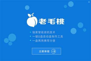 急急急！今天重装系统win10家庭版，用的老毛桃优盘pe，装在固态硬盘上
