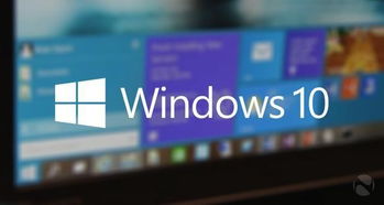 qe安装win10
