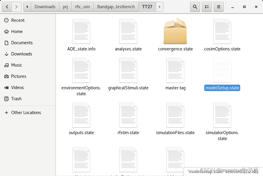 modelSetup.state文件