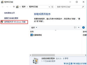 我能安装“ Win10” IIS 吗?