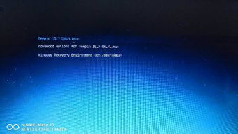 win10安装deepin后没有启动项