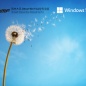 雨林木风Ghost Win11 专业版 V2022.1