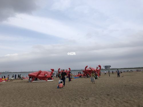 北仑看海_海边_沙滩_宁波北仑自由行热门攻略_摄影_梅山湾沙滩公园