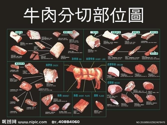 牛肉分解图图片