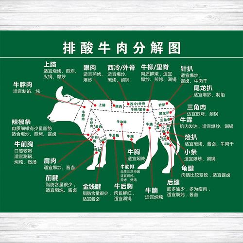 市场超市排酸牛肉分割分解切割部位图写真海报写真
