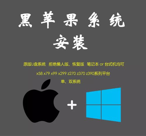原版黑苹果mac pc双系统安装10.13.6 10.14.6 10.15.