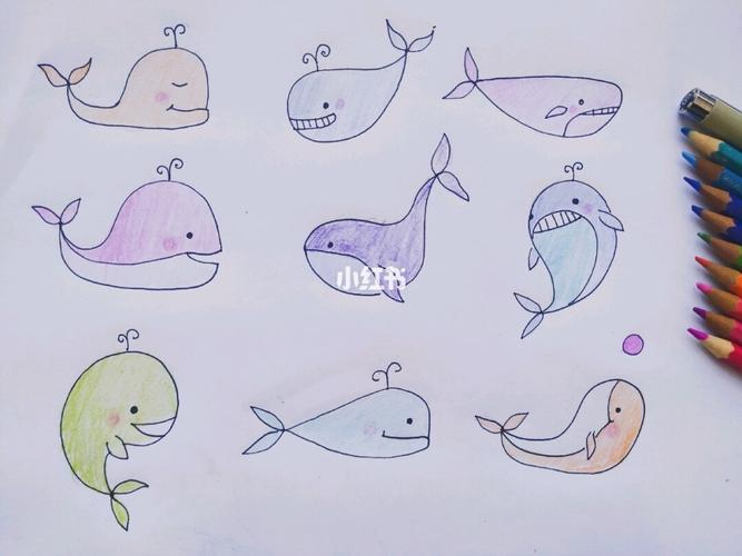 鲸鱼95简笔画_简笔画_画个简笔画_文化_绘画