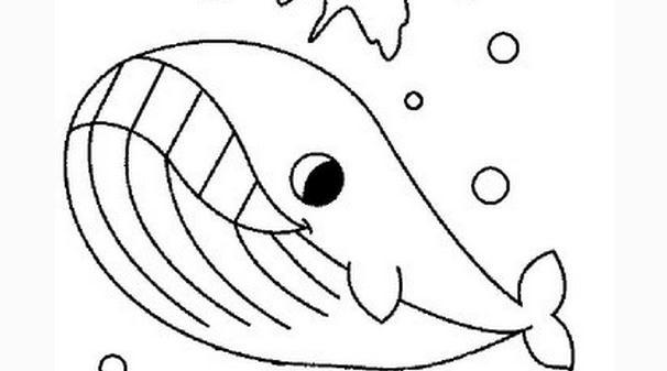 鲸鱼简笔画图片