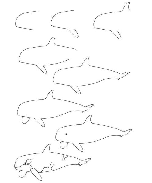 鲸鱼怎么画_简单的鲸鱼儿童画作品 鲸鱼简笔画