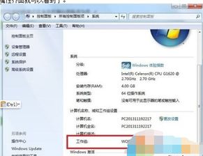 win10浏览器网络权限设置在哪