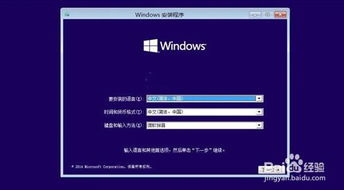 这些生物用用具安装Windows 10。
