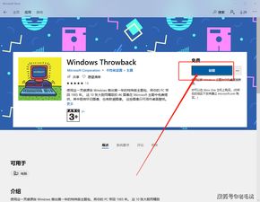 win10专业版应用商店安装失败
