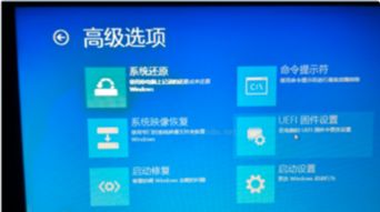 win10如何能用f1键