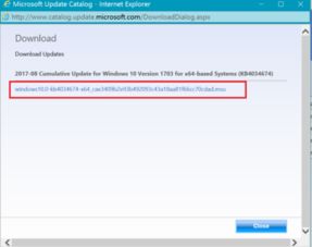 Windows 10 无法安装 Hung X 。