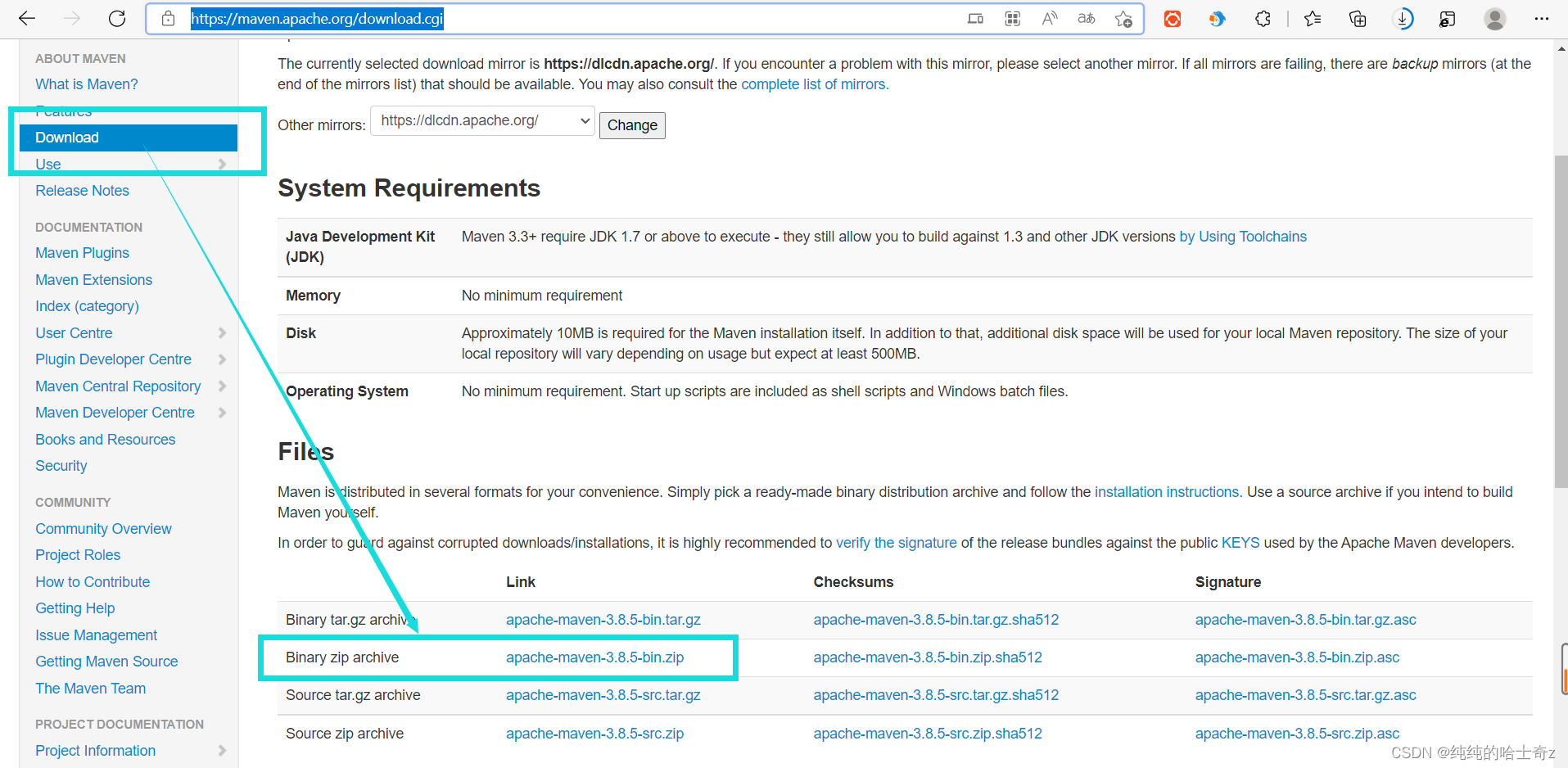在这里插入图片描述