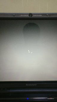 win10电脑无限闪屏