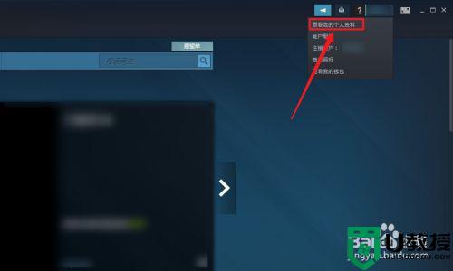 steam隐私设置在哪_steam怎么打开隐私设置