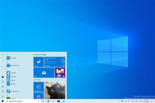 win10如何把普通软件装入容器