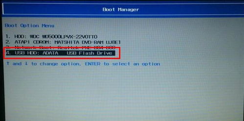 Delusb开始设置Win10系统。