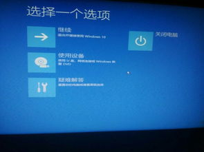 安装win10进不去pe