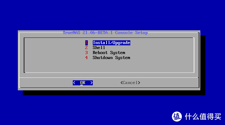TrueNAS SCALE小白级安装设置教程(物理机)