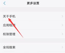 怎么打开vivo开发者模式_vivo手机如何打开开发者模式