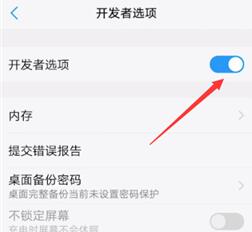 怎么打开vivo开发者模式_vivo手机如何打开开发者模式