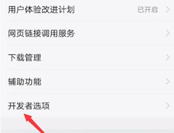 怎么打开vivo开发者模式_vivo手机如何打开开发者模式