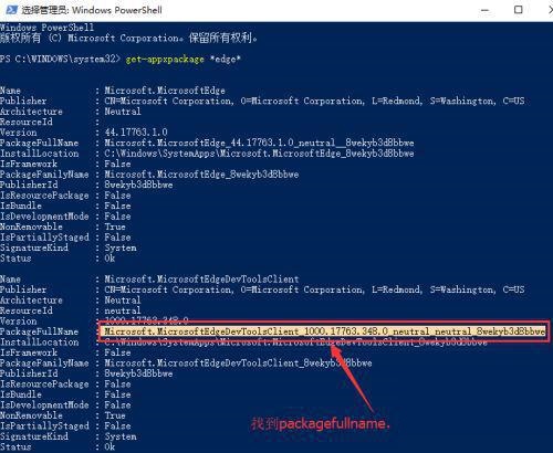 Windows 10 如何卸载顶端?浏览器