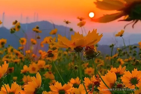 watermark,type_d3F5LXplbmhlaQ,shadow_50,text_Q1NETkDnl5vogIzkuI3oqIDnrJHogIzkuI3or63nmoTmtYXkvKQ,size_8,color_FFFFFF,t_70,g_se,x_16