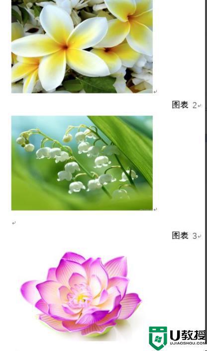 word图片如何统一调整大小_word里的图片怎么统一调整大小