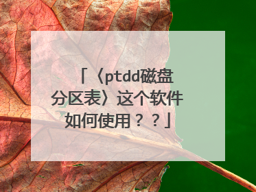 〈ptdd磁盘分区表〉这个软件如何使用??