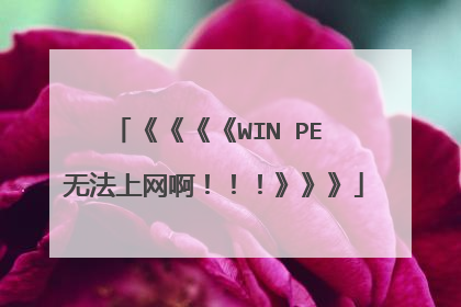 《《《《WIN PE 无法上网啊!!!》》》