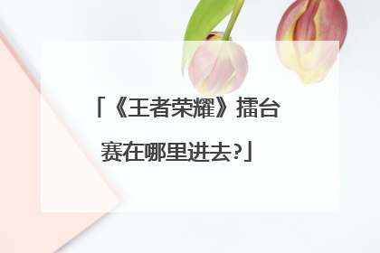 《王者荣耀》擂台赛在哪里进去?